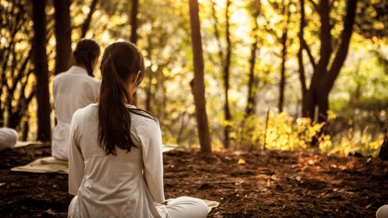 Wellness Experiences